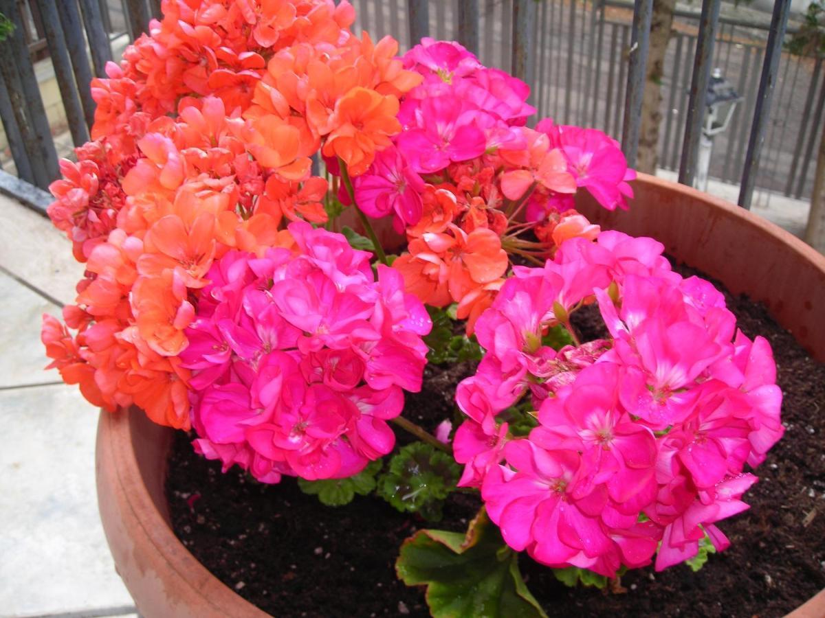 סנטה מריה אל בניו B&B San Salvador מראה חיצוני תמונה